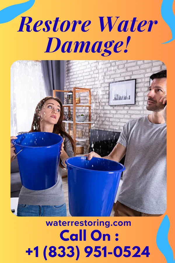 water restoration Best Restoration Solutions Partners Pahoa